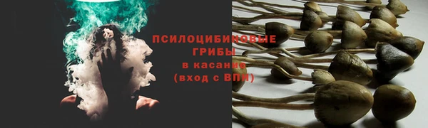 марки lsd Белоозёрский