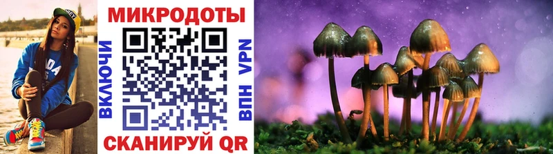 закладка  Чишмы  Псилоцибиновые грибы GOLDEN TEACHER 